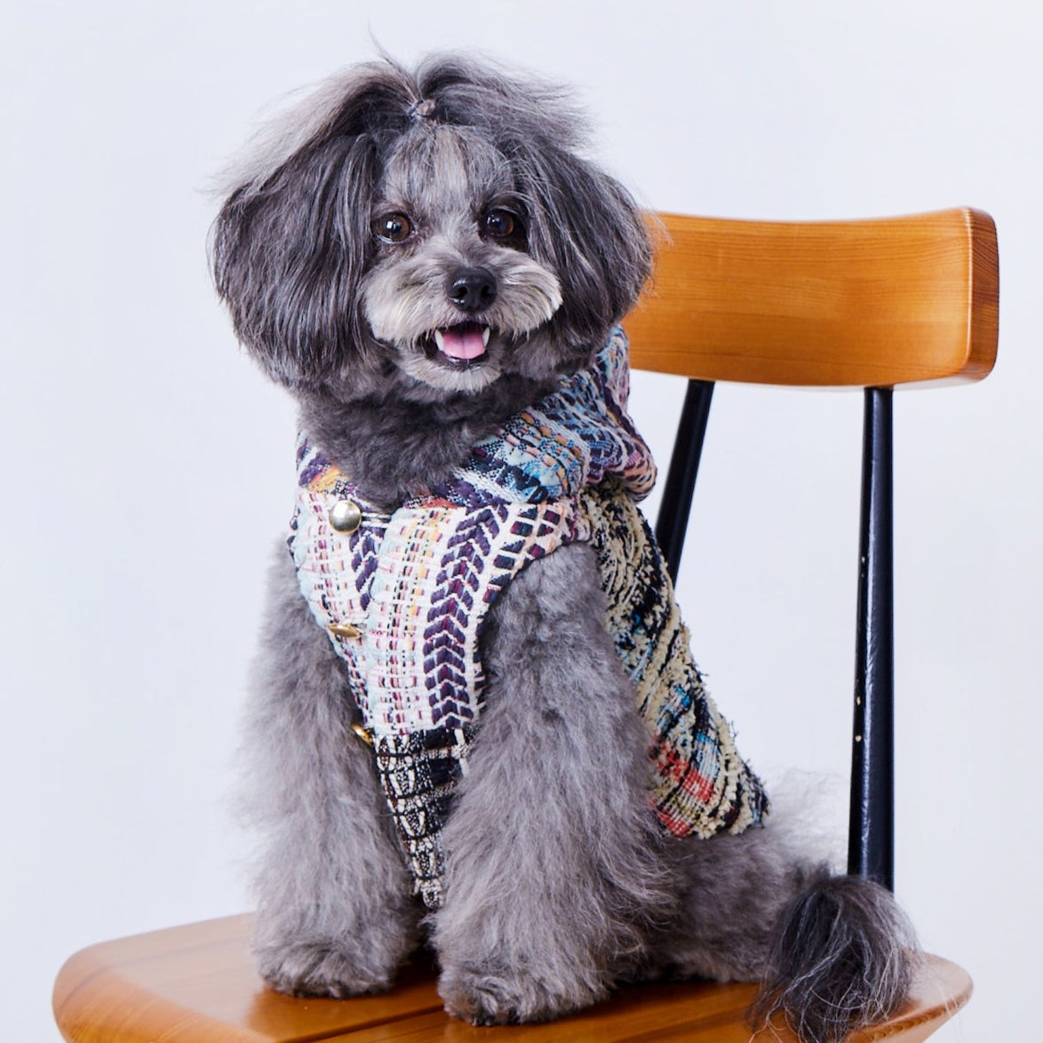 オーダー | Tweed Foodie|M