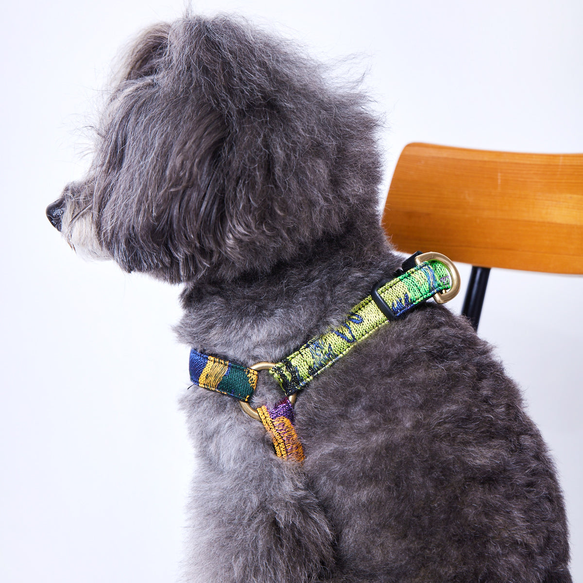 オーダー | Dog Harness | L