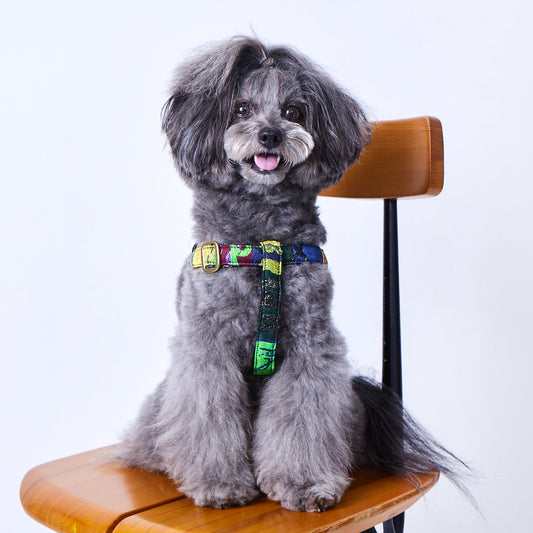 オーダー | Dog Harness | L