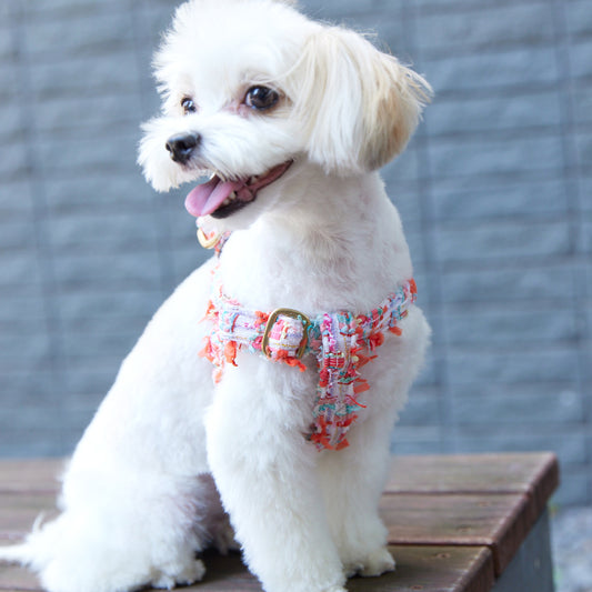 オーダー | Dog Harness | S